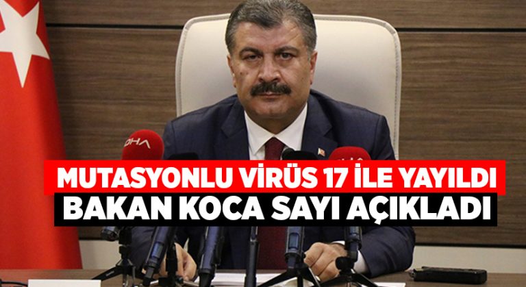 Mutasyonlu virüs 17 ile yayıldı.. Bakan Koca sayı açıkladı