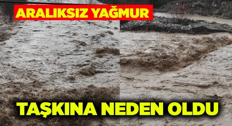 Aralıksız yağmur taşkına neden oldu