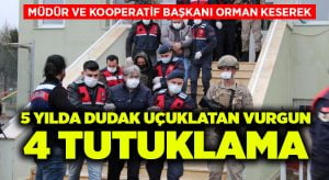 Müdür ve kooperatif başkanı orman keserek 5 yılda dudak uçuklatan vurgun yaptı