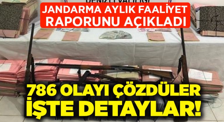 Jandarma 1 ayda 786 olayı aydınlattı