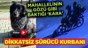 Dikkatsiz sürücü mahallelinin canını yaktı