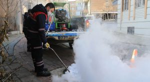 Pamukkale’de Sivrsinek İle Mücadele Devam Ediyor