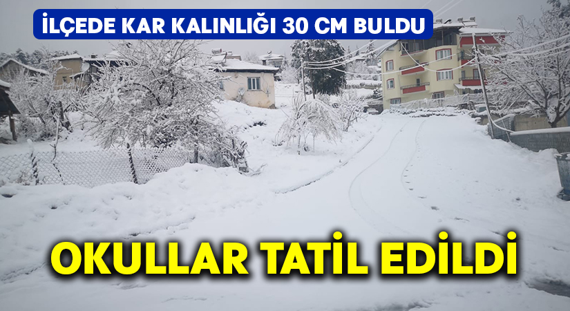 Kar yağışı ilçede okulları tatil ettirdi