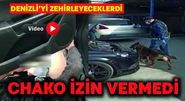 Zehir tacirlerine Chako izin vermedi