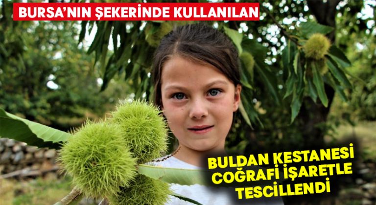 Bursa’nın şekerinde kullanılan Buldan kestanesi coğrafi işaretle tescillendi