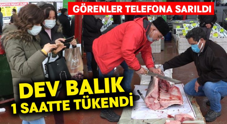 2,5 metre 98 kilogramlık kılıç balığı 1 saatte tükendi