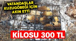 Vatandaşlar kuzugöbeği için akın etti.. Kilosu 300 TL