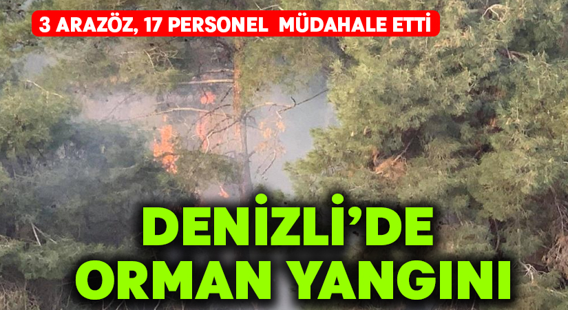 Denizli’de kış mevsiminde orman yangını paniğe neden oldu