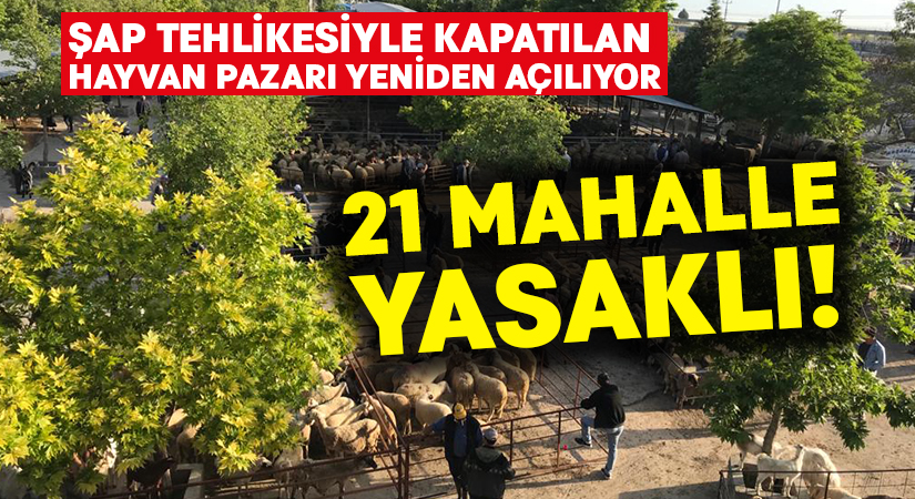 Şap tehlikesiyle kapatılan hayvan pazarı yeniden açılıyor.. 21 mahalle yasaklı!