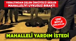 Yeraltından gelen ürkütücü sesler mahalleliyi uykusuz bıraktı