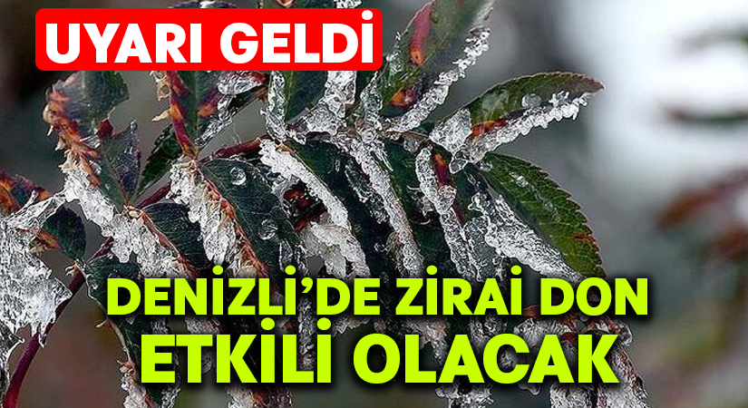 Denizli’ye zirai don uyarısı!