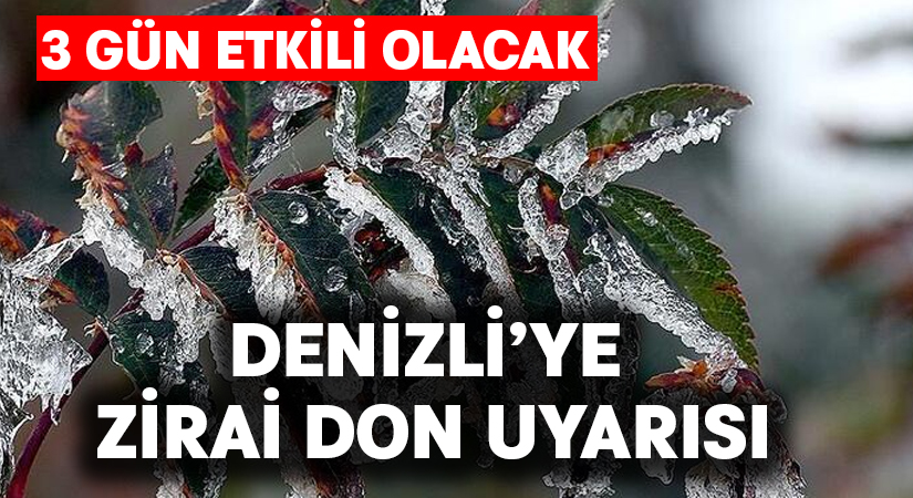 Denizli’de zirai dona uyarısı