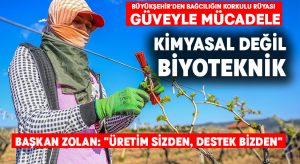 Büyükşehir’den bağcılığın korkulu rüyası güveyle mücadele