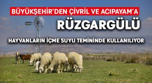 Büyükşehir’den üreticilere rüzgargülü desteği