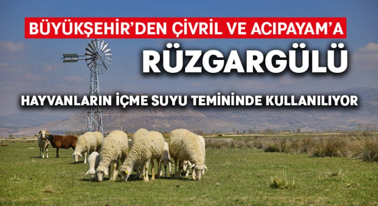 Büyükşehir’den üreticilere rüzgargülü desteği