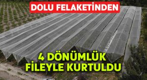 Doluyu 4 dönümlük fileyle durdurdu