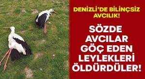 Göç eden leylekleri öldürdüler