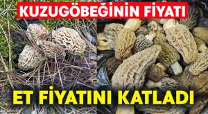 Kuzugöbeğinin fiyatı, et fiyatını katladı