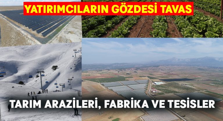 Tavas Yapılan Yatırımları İle Adından Söz Ettiriyor