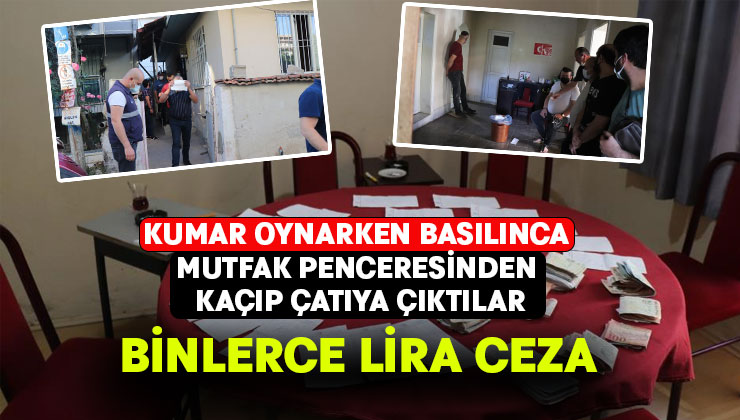 Kumar oynarken basılınca mutfak penceresinden kaçıp çatıya çıktılar