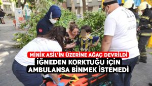 Üzerine ağaç devrildi, iğneden korktuğu için ambulansa binmek istemedi