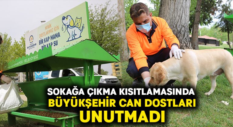 Büyükşehir can dostları unutmadı