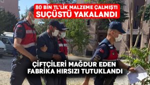 Çiftçileri mağdur eden fabrika hırsızı tutuklandı