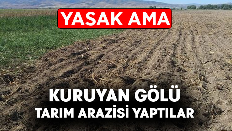 Kuruyan gölü tarım arazisi yaptılar