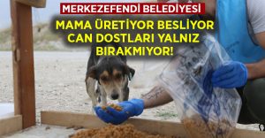 Merkezefendi Belediyesi Mama üretiyor, besliyor, can dostlarını yalnız bırakmıyor!