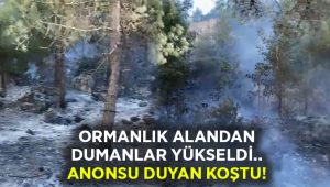 Ormanlık alanda dumanlar yükseldi.. Anonsu duyan koştu!