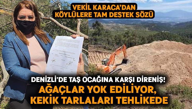 Denizli’de taş ocağına karşı direniş! Ağaçlar yok ediliyor, kekik tarlaları tehlikede