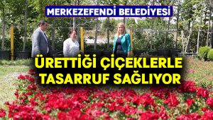 Merkezefendi Belediyesi Ürettiği Çiçeklerle Tasarruf Sağlıyor