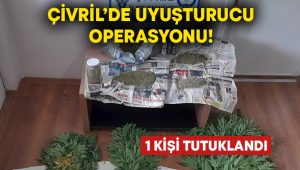 Çivril’de uyuşturucu operasyonu! Evin bahçesinde 110 kök kenevir yetiştirmiş