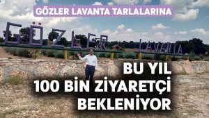 Gözler lavanta tarlalarına bu yıl 100 bin ziyaretçi bekleniyor