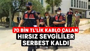 Fabrikadan 70 bin TL’lik kablo çalan hırsız sevgililer serbest kaldı