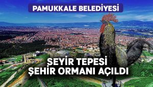 Pamukkale Belediyesi Seyir Tepesi Şehir Ormanı Açıldı