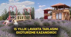 15 yıllık lavanta tarlasını ekoturizme kazandırdı