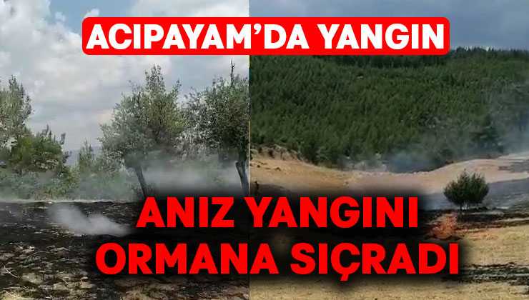 Acıpayam’da yangın