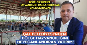 Çal Belediyesi’nden bölge hayvancılığını heyecanlandıran yatırım!