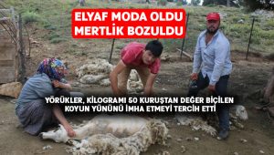 Elyaf kullanımı artınca koyun yünleri gözden düştü