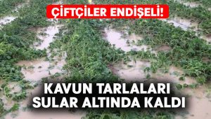 Kavun tarlaları sular altında kaldı.. Çiftçiler endişeli!