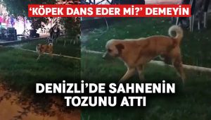 Düğün müziğine kapılan köpek dans etti