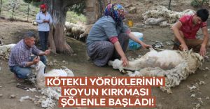 Kötekli Yörüklerinin koyun kırkması şölenle başladı!