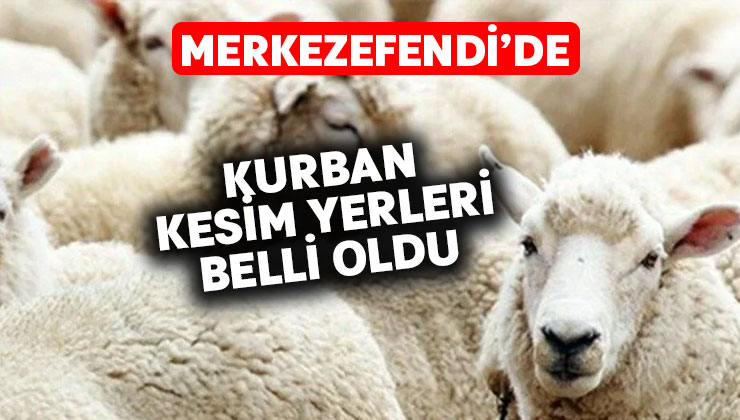 Merkezefendi Belediyesi kurban kesim yerlerini belirledi