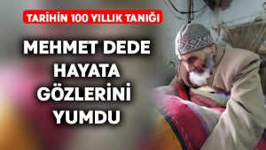 100 yıllık çınar hayata gözlerini yumdu