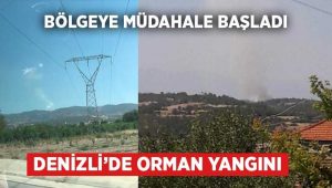 Denizli’de orman yangını