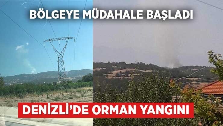 Denizli’de orman yangını