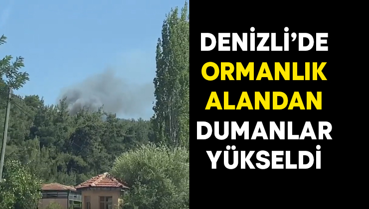 Denizli’de ormanlık alandan alevler yükseldi