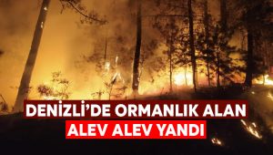 Denizli’de ormanlık alan alev alev yandı