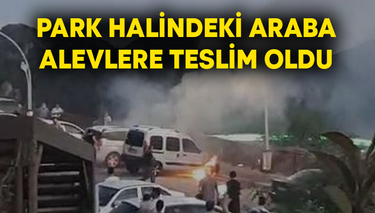 Park halindeki araba alevlere teslim oldu